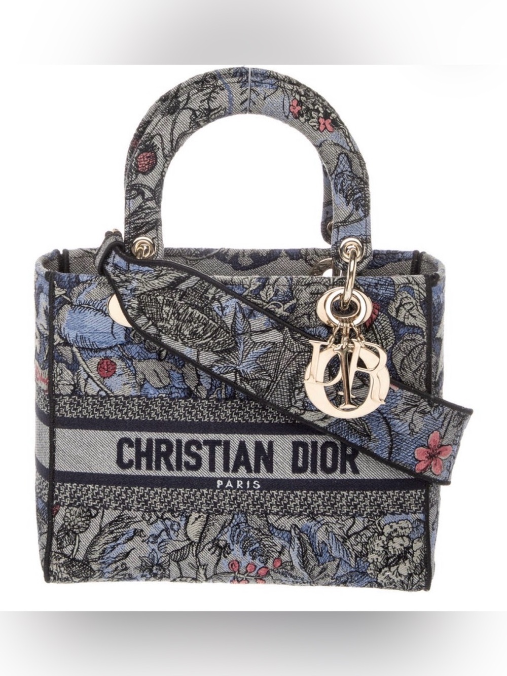 Christian Dior Canvas D-Lite NWOT